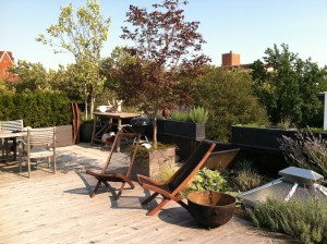 Roof garden on the YouTube show Urban Gardener