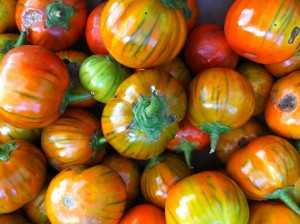 Turkish Orange Eggplant