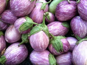 Zebra Eggplant