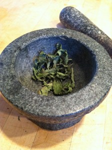 Dried Stevia leaves about to be ground 