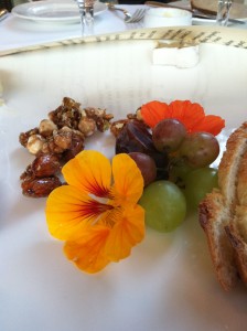 Nasturtiums at Madrona Manor