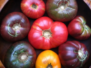 Heirloom tomatoes--photo copyright Anne Underwood Enslow