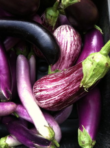 Mixed eggplants at the farmer's market--photo copyright Anne Underwood Enslow