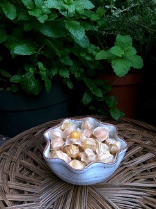 Ground cherries