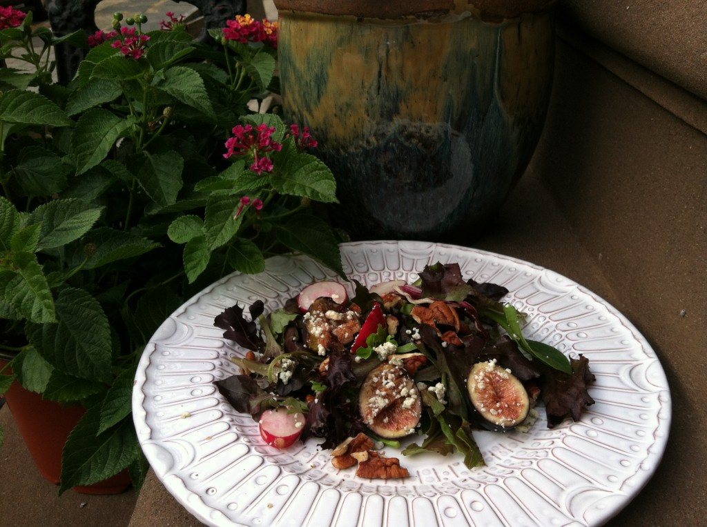 Radish, Fig, Walnut, Blue Cheese Salad--photo copyright Anne Underwood Enslow