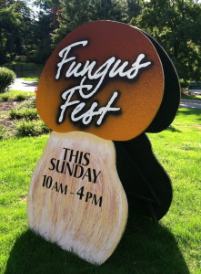 Fungus Fest--photo copyright Anne Underwood Enslow