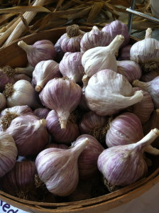 Turkish red garlic--photo copyright Anne Underwood Enslow