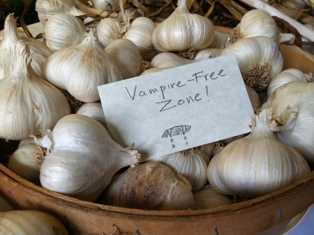 Vampire-free zone--photo copyright Anne Underwood Enslow