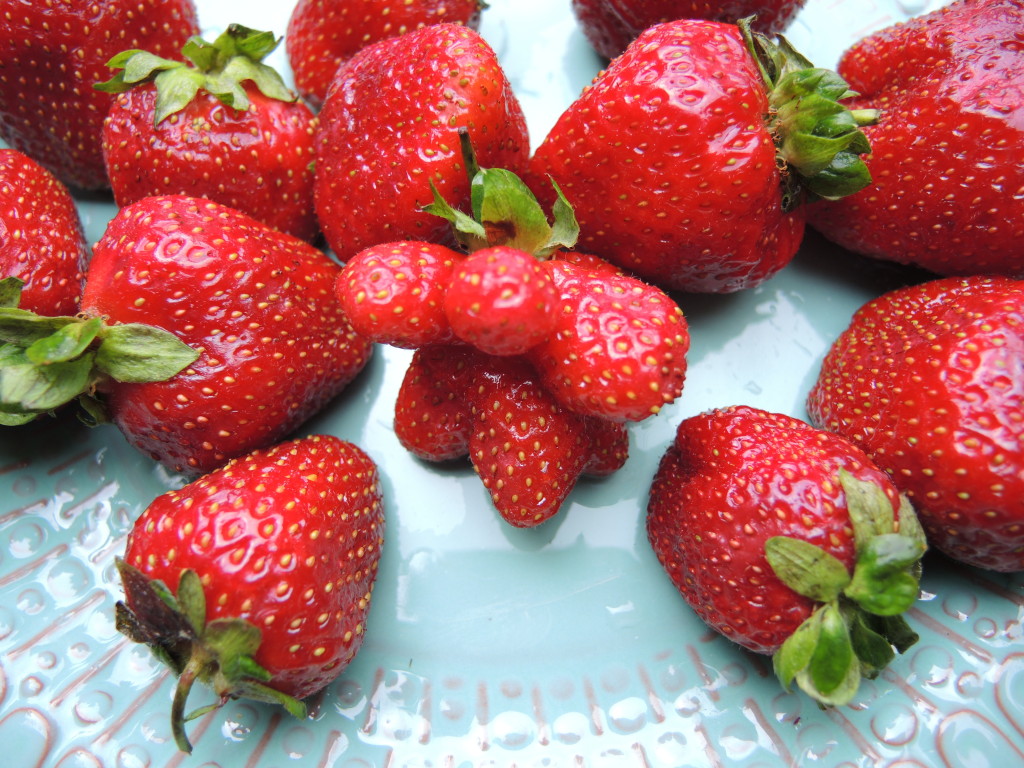 Strawberries--photo copyright Anne Underwood Enslow