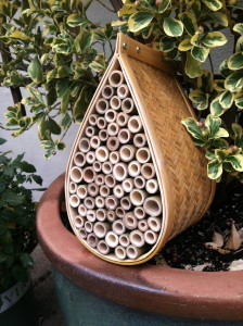 Mason bee house--photo copyright Anne Underwood Enslow