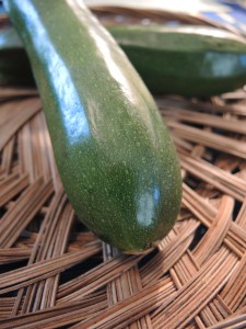 Zucchini--photo copyright Anne Underwood Enslow