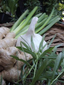 Ginger-tarragon dressing--photo copyright Anne Underwood Enslow